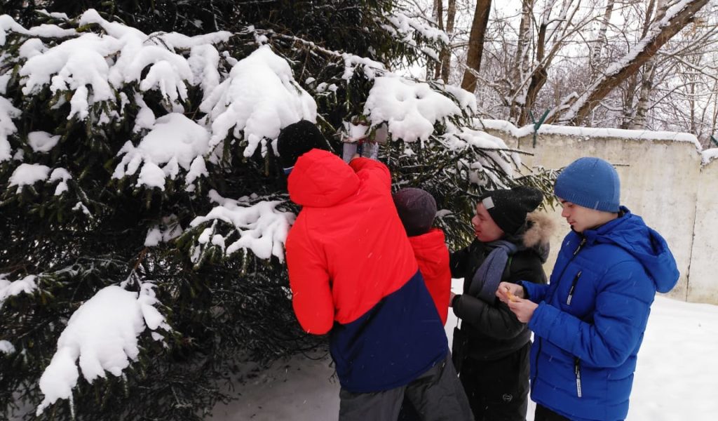 Дети средней группы провели акцию»Поможем зимующим птицам»