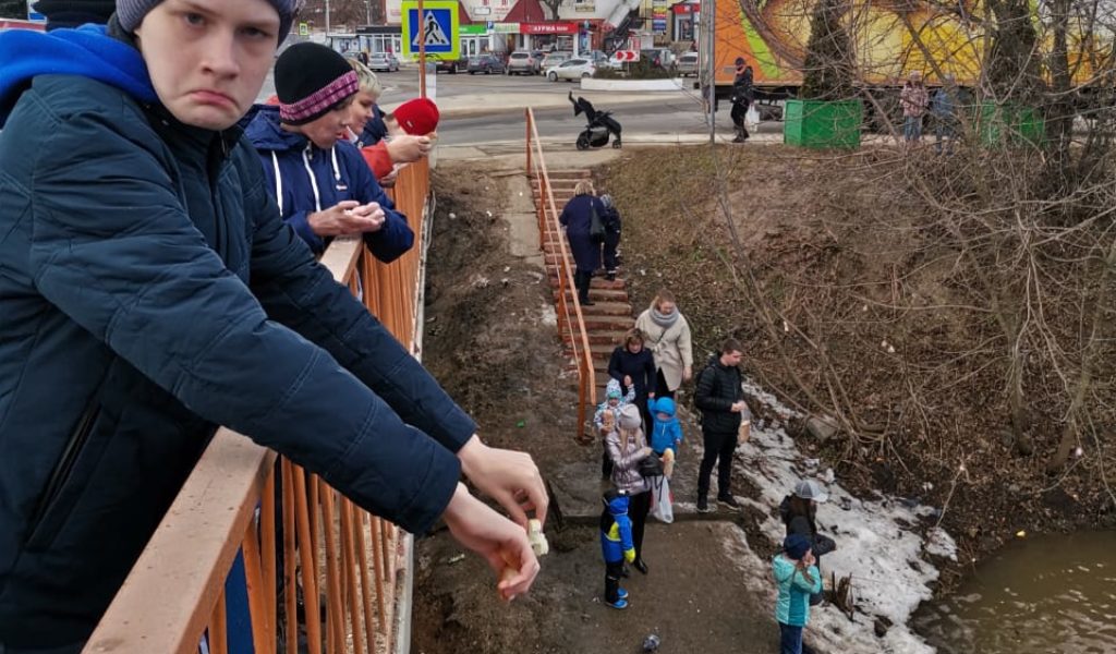 Прогулка «Весенние чудеса»-первые цветы, зеленая травка ,река разлилась, но утки ждали нашего прихода. Красота вокруг нас