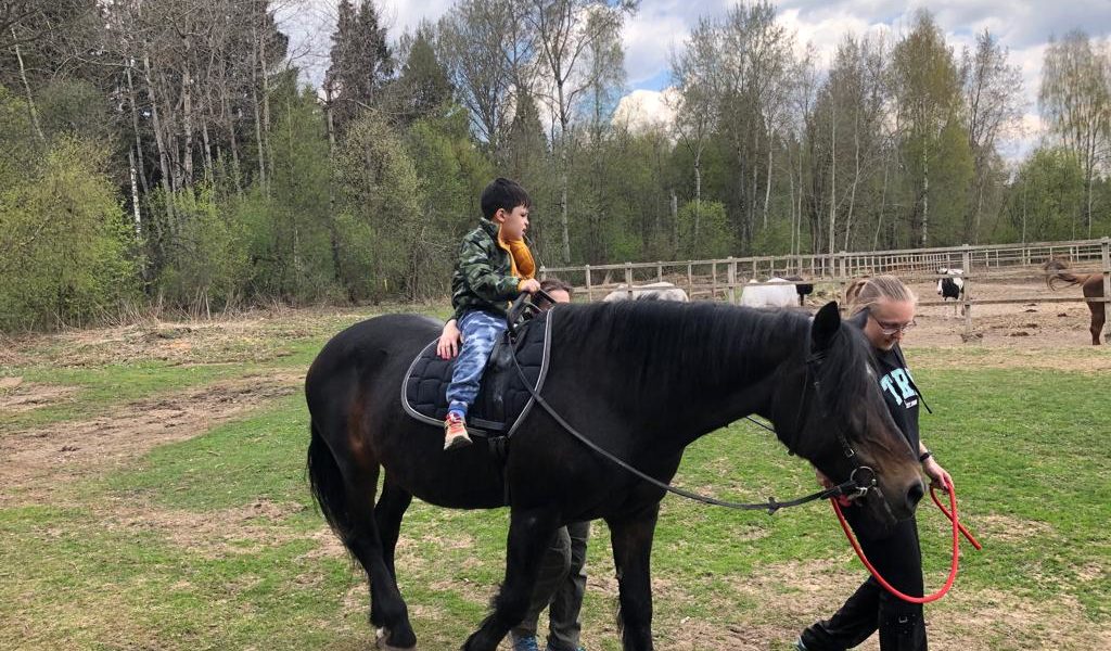 Занятие по иппотерапии на базе конно-спортивного комплекса «Буденновец».