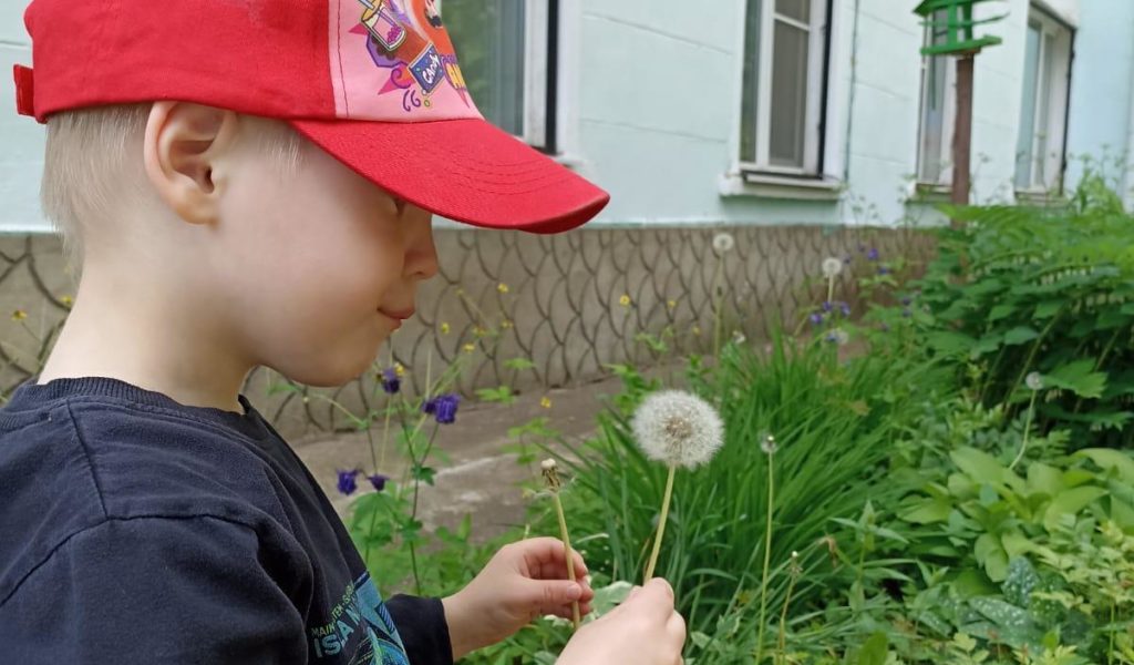 Ознакомление с природой на прогулке