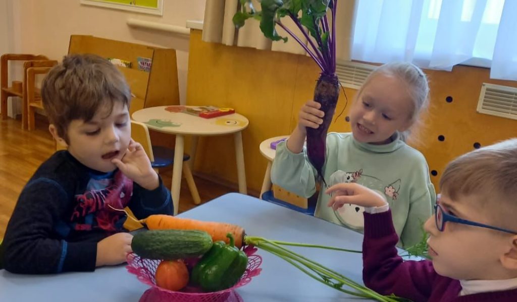 Развитие речи. «Овощи». Закрепляем знание детей об овощах, которые растут в огороде, расширяем активный словарь детей.